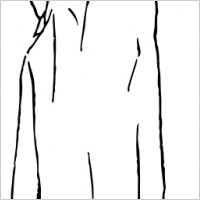 The Wanderer clip art