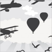 Things that fly