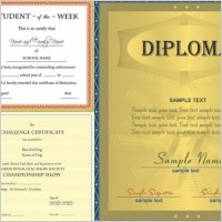 three vector design certificate
