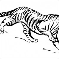 tiger 1
