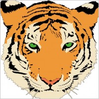 Tiger clip art