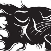 Tiger Flame Vetor