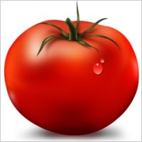 Tomato