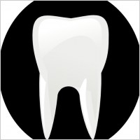 Cartoon Molar