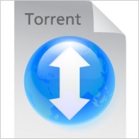 Torrent file