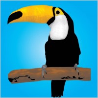 Toucan Bird