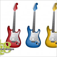 

								tr8 Vector Guitars							
