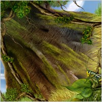 tree and Grasshoppers