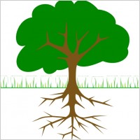 Tree Branches And Roots clip art