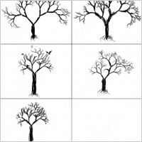 tree brush