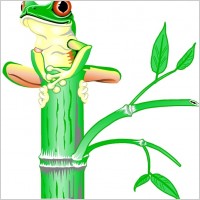 Tree Frog 00125