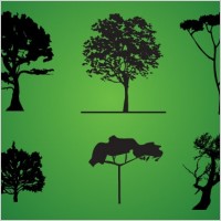 Tree Silhouette Pack