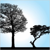 Tree Silhouette Vectors