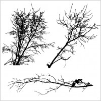 Tree Silhouettes 