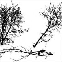 Tree vector