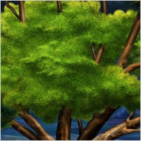 Trees