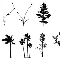 Trees, flowers, rattan vector case material