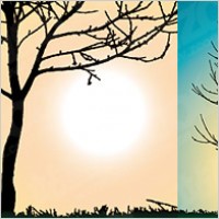 trees no leaves vector material