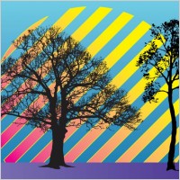 Trees Vector Illustration