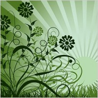 trend sunset flower silhouette vector