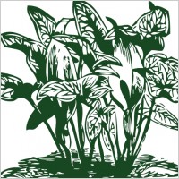 Tropical Plants clip art