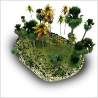 Tropical Stone