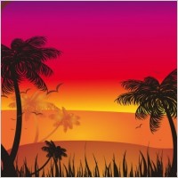 Tropical Sunset
