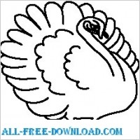 Turkey 02