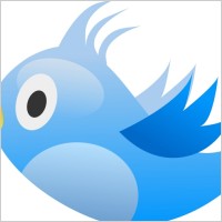 Tweet Bird