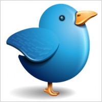 Twitter bird