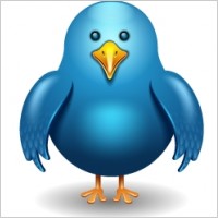 Twitter bird front
