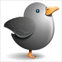 Twitter bird grey