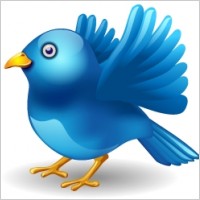 Twitter bird landing