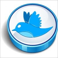 Twitter bird sign