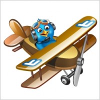 Twitter plane brown