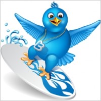 Twitter surf