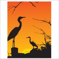 

								Two Herons Resting							