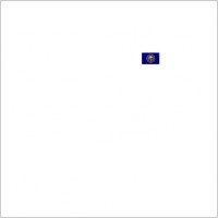 Us New Hampshire Flag clip art