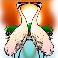 Valessiobrito Two Love Whooping Crane clip art