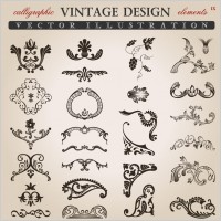variety of european pattern vector