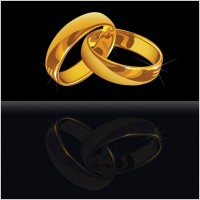 vector 3 wedding ring