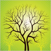 Vector Art Trees