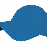 Vector Baseball Cap