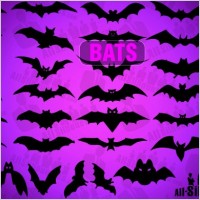Vector Bats