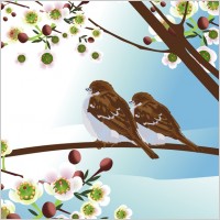 Vector birdie