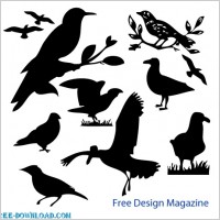 Vector Birds