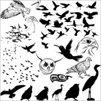 Vector Birds Silhouettes