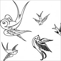 VECTOR BIRDS SPARROWS 