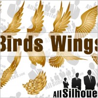 Vector Birds Wings