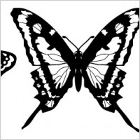 Vector Butterflies